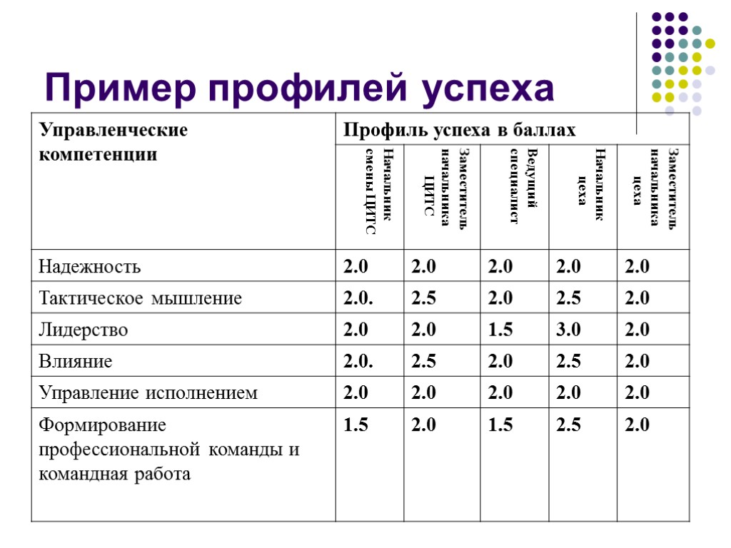 Пример профилей успеха